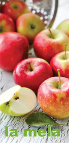 copertina pieghevole eduzazionale: terza et&agrave; ed alimentazione