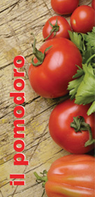 copertina pieghevole eduzazionale: terza et&agrave; ed alimentazione