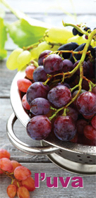 copertina pieghevole eduzazionale: terza et&agrave; ed alimentazione