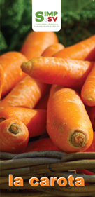 copertina pieghevole eduzazionale: terza et&agrave; ed alimentazione