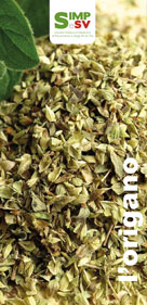 copertina pieghevole eduzazionale: terza et&agrave; ed alimentazione